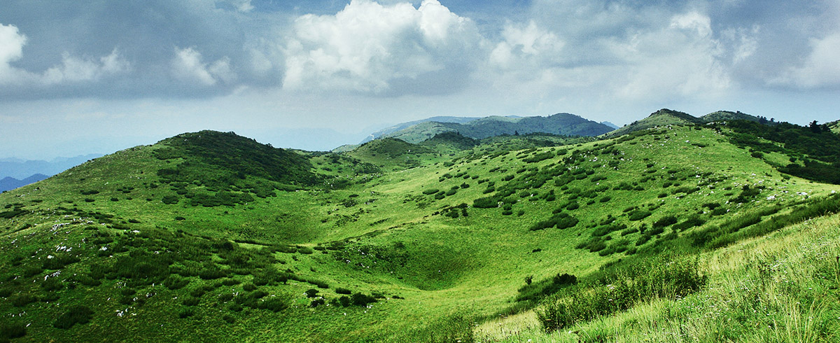 紫柏山盘龙坦 摄影：徐攀.jpg